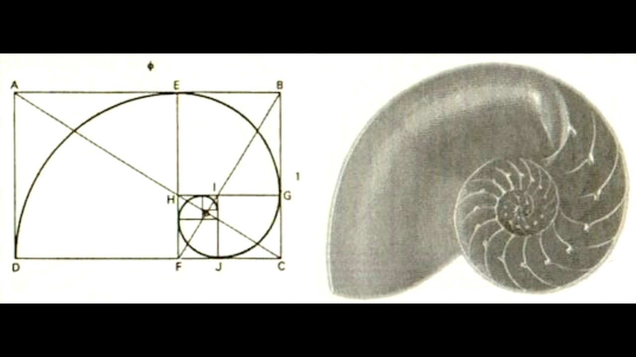 Que es un fibonacci