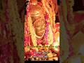 mahakal Live Aarti 3 August 2025🌹 live mahakal aarti🌿 mahakal Aarti today🪔live bhasam aarti🌿#mahakal