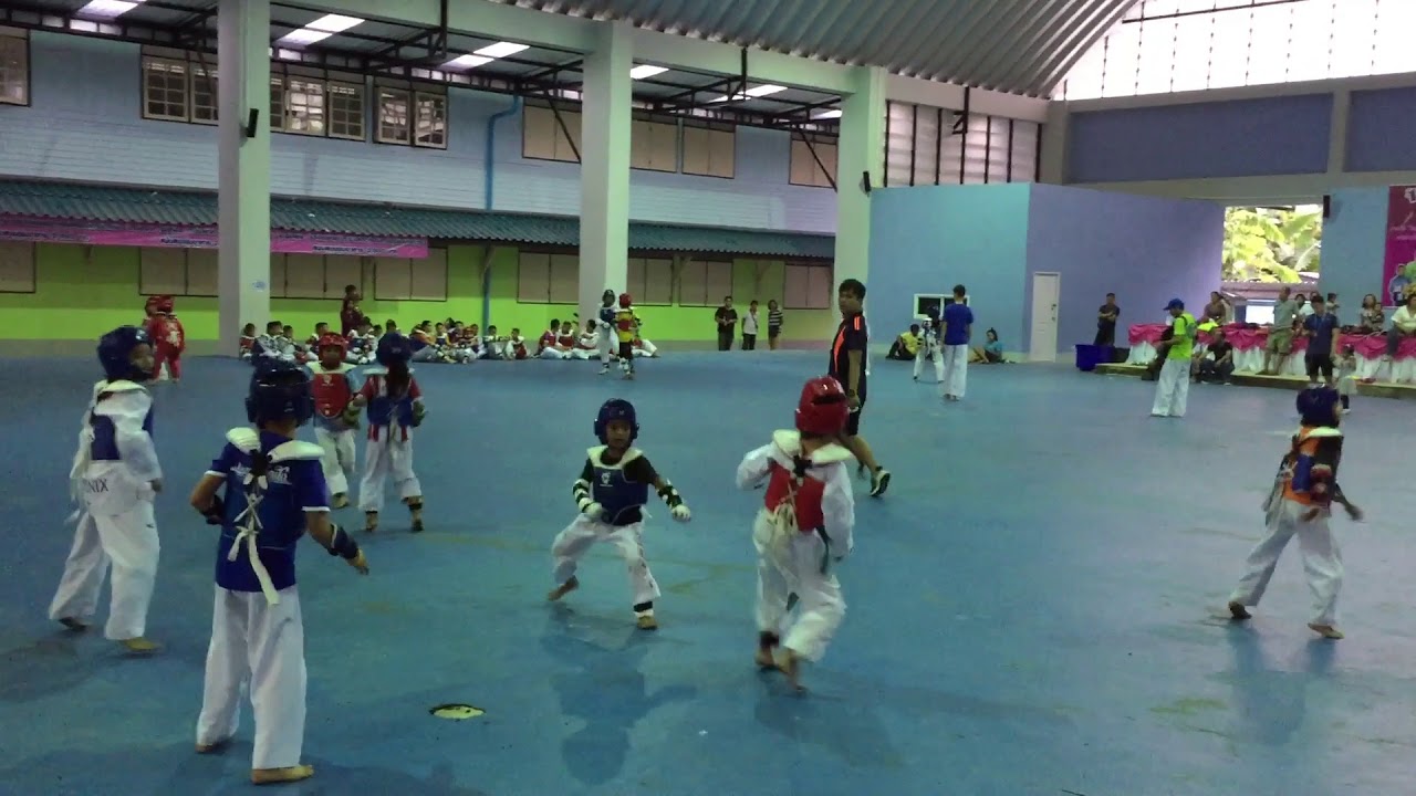 Claudia Rauchle perfectly executed reverse/spinning heel kick YouTube