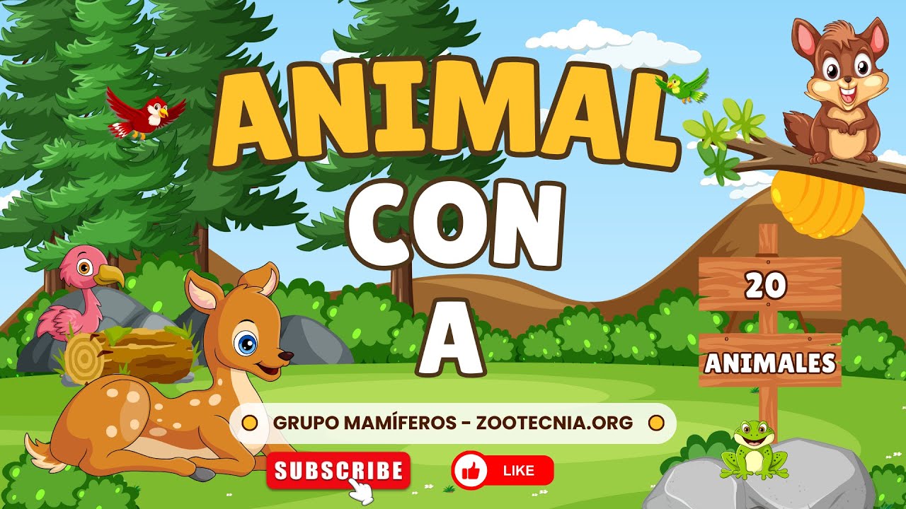 Animales MAMÍFEROS con la Letra A - YouTube