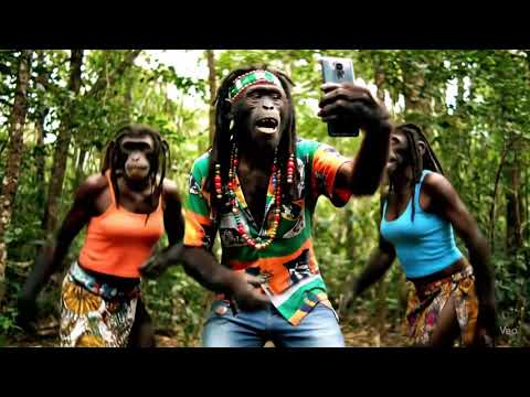 Rasta Monkey Vibes 🐒🔥 | Reggae Dance \u0026 Chill