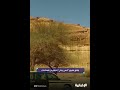 إطلاق تطبيق أحمي بيئتي للتبيلغ عن المخالفات