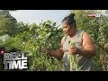 Reel Time: Urban farming, malaking tulong para sa mga inang kapos sa buhay