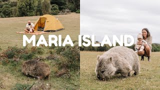 Camping with our baby on Maria Island | VANLIFE AUSTRALIA | Ep. 5