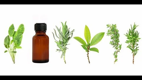 Comment mesurer 1 ml huile essentielle ? Comment mesurer 1 ml huile essentielle ?