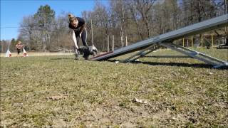 Agility Foundations Lesson 3.02 See saw bang game and weaves