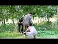 Bangla new funny    2017 new shahin islam apon