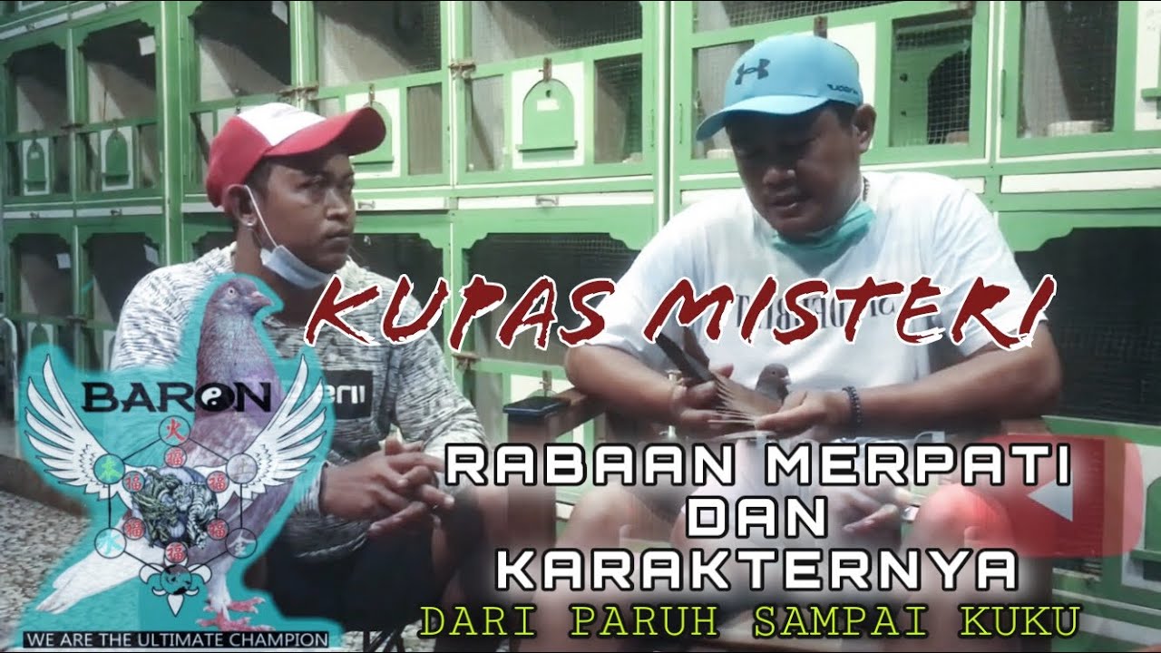 KUPAS MISTERI RABAAN MERPATI DAN KARAKTERNYA - Dari Paruh Sampai KuKu bersama Maestro merpati kolong