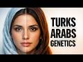 Turkish Arab Genetics: A Story of Two Origins