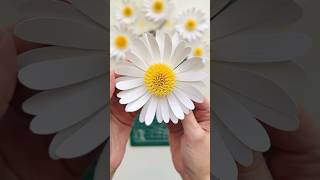 Paper Flower Tutorial, Spring Crafts, Paper Daisies, DIY Crafts, Easter Crafts #paperflorist #easter