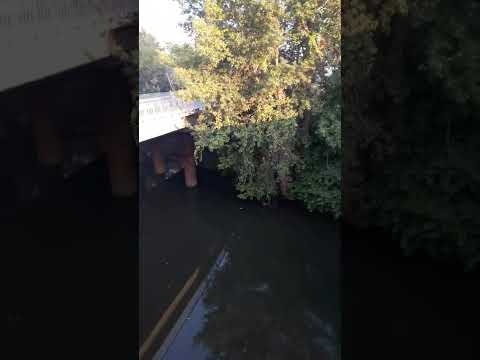 р.Боржава на Виноградівщині.