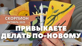 картинка: Скорпион ОКТЯБРЬ 2025 : Привыкаете делать по-новому | Таро прогноз