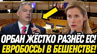 ОРБАН БРОСАЕТ ВЫЗОВ ЕС: Референдум Венгрии МЕНЯЕТ ЕВРОПУ! Ук*аина и Черноморье под УГРОЗОЙ!