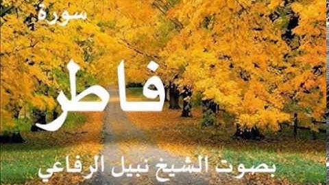 سورة فاطر بصوت الشيخ / نبيل الرفاعي 35
