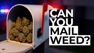 Can I MAIL WEED? 😮‍💨 Here’s What You NEED to Know