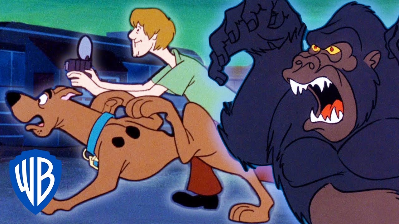 Scooby-Doo! | Catching King Kong | WB Kids