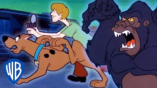 ScoobyDoo! | Catching King Kong | WB Kids