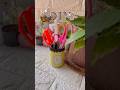 DIY PEN HOLDER #wastematerialcraft #craft #diycrafts #trendingshorts #youtubeshorts #viralshortvideo