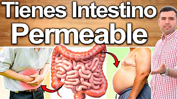 ¿Cuáles son los signos de un intestino permeable?