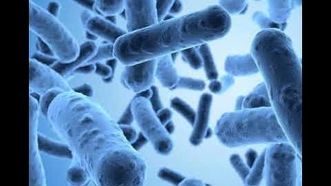 Podcast #385: Probiotics