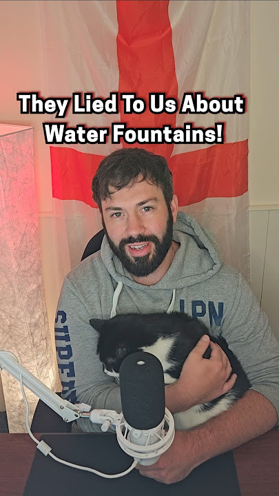 Water Fountains | What You NEED To Know Before You Buy! #cat #catlovers