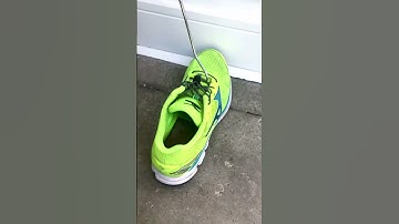 Dangerous Pit Viper found inside a running show ⚠️