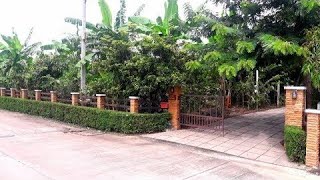 บ้านสวนผลไม้ปลอดสารพิษ 🥒🥕🍅🍒🍉ให้ผลผลิตตลอดปี