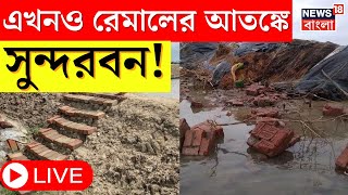 Cyclone Remal Update LIVE : ঝড় এলেই আতঙ্কে দিন কাটে Sundarban এর, রেমাল এও ভয়াবহ চিত্র।Bangla News