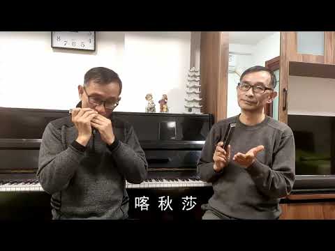 老哥俩吹口琴《外国名曲联奏》，天鹅追梦人2409C调口琴吹奏