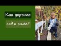 Как укрыть растения в саду?