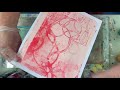 Video #5 transferring laser print images with a gelli plate.