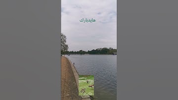 تلاوة خاشعة للشيخ ماهر المعيقلي ماتيسر من سورة الملك