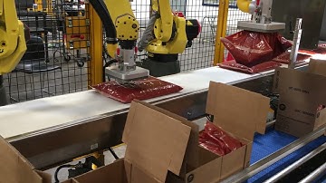 Flexi Packer Robotic Case Packer - Bags of Sauce - BW Integrated Systems