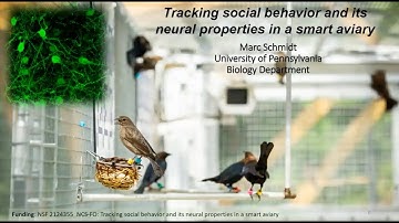 Keynote Presentation: Tracking Social Behavior and Its Neural Properties in a Smart...