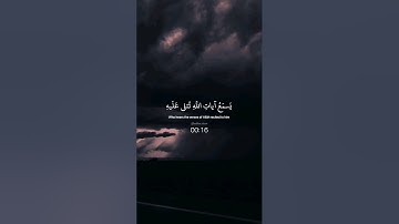 تلاوة خاشعة من سورة الجاثية بصوت الشيخ ياسر الدوسري #quran #قران_كريم