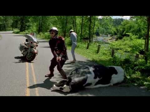 jim carrey kills a cow (hilarious) HD