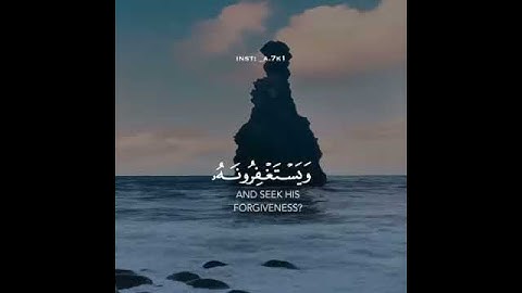 أفلا يتوبون إلى الله ويستغفرونه والله غفور رحيم وديع اليمني سورة المائدة حالات واتس اب دينيه
