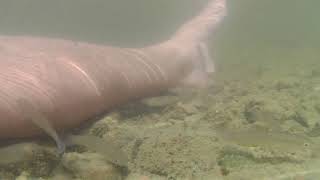 Kayaking Adventures - 8