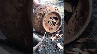 treasure huntre #gold #adventure Treasure #metaldetecting #satisfying #كنوز ودفائن