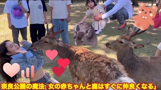 「奈良公園の幸せの贈り物 鹿と過ごす女の子の幸せなひととき| nara deer |  nara  japan vlog | japan camping vlog  | surjapuri vlog