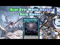 Yu-Gi-Oh Blue-Eyes White Dragon/Primite Deck Profile 2025