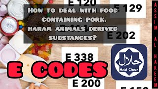 E codes - How to deal with food containing pork, haram animals derived substances? Assim al hakeem screenshot 3