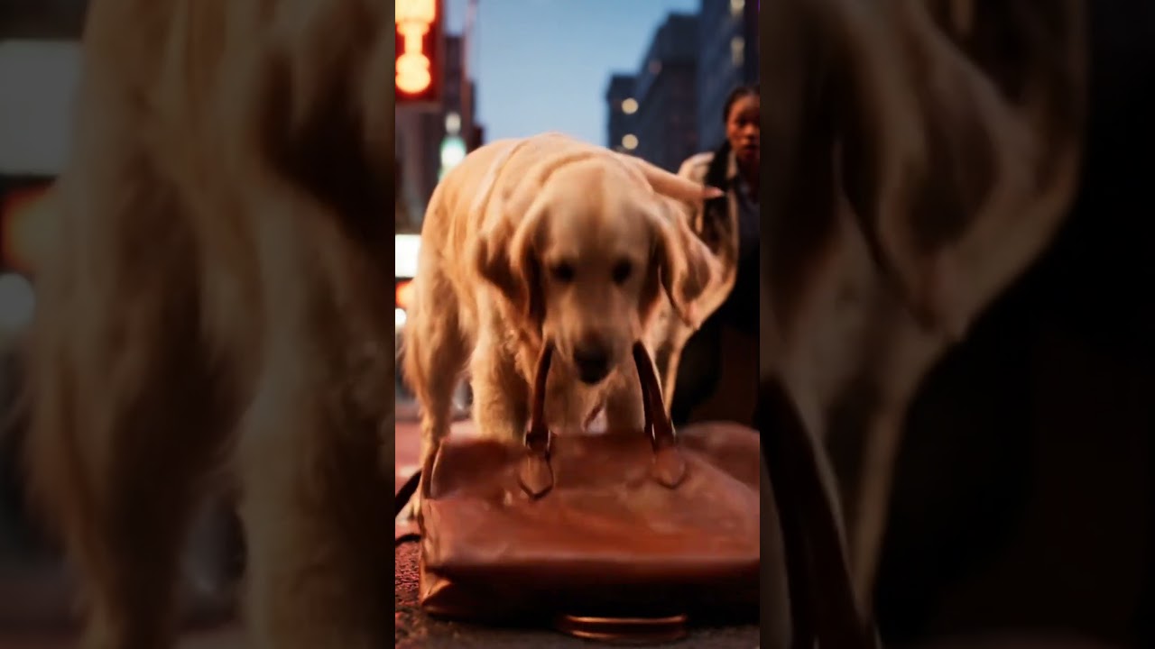 Dog saves victim from thief