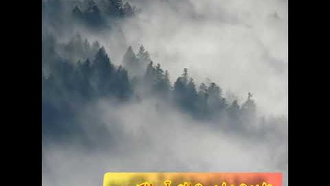 أجمل قراءة سورة القيامة للقارئ الشيخ ماهر المعيقلي.