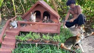 Rescue cats & kitten and build a house from mud-Build Beautiful Mud House for cats