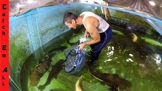 FISH RESCUE AQUARIUM! Going into the Monster Fish Tank!