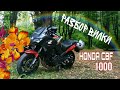 РАЗБОР ВИЛКИ HONDA CBF 1000 #1 / YURIK