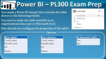 PL 300 : Q40 - Power BI Organizational Data Types and Feature Tables