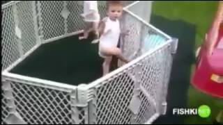 100 Pour 1000 Mort De Rire Lol