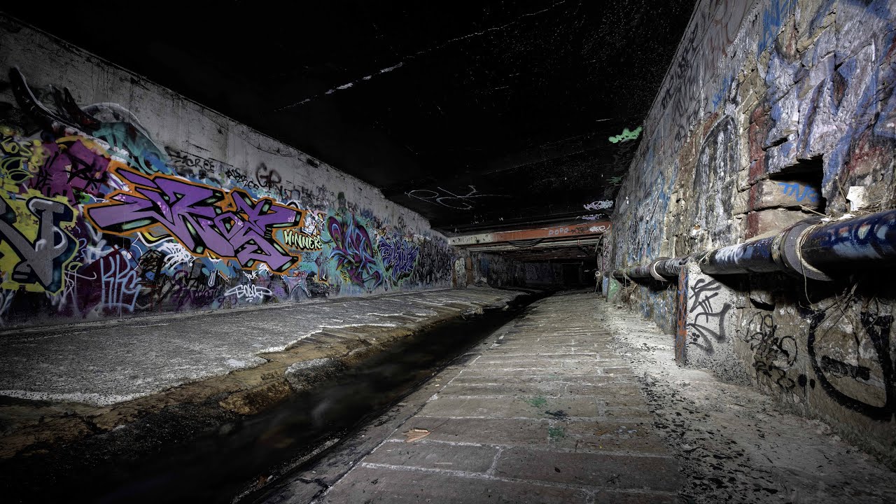 Exploring Hobart Rivulet Track: Discovering a Platypus, Urban Art, and Hidden Tunnels